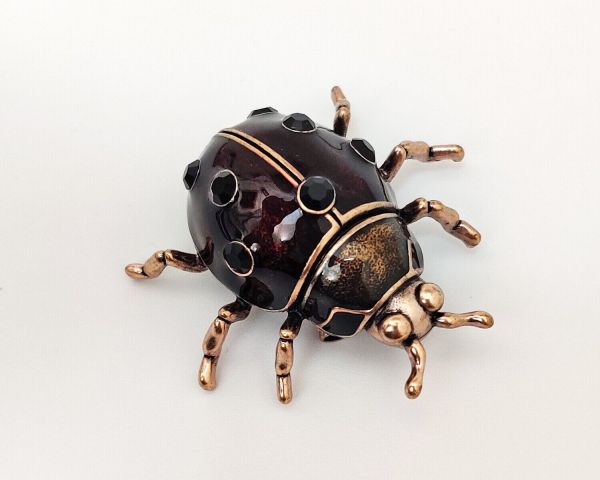 Brooch Beetle